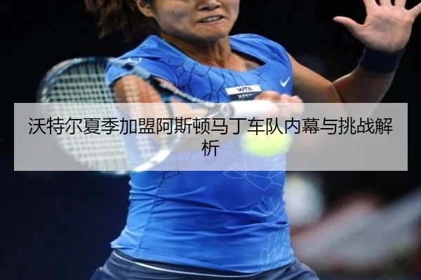 wo-te-er-xia-ji-jia-meng-a-si-dun-ma-ding-che-dui-nei-mu-yu-tiao-zhan-jie-xi-2-303.jpg